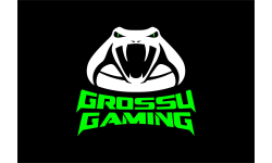 Grossu.Gaming