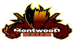 Montwood Gaming Zalz