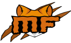 Mystery Foxes Gaming