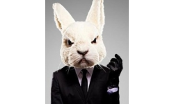 white_rabbits