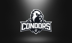 CONDORS