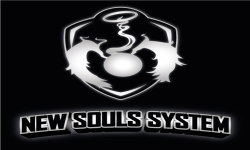 NEW SOULS SYSTEM