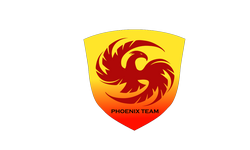 Phoenix Team