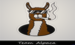 Team Alpaca
