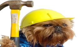 Builder Dogs