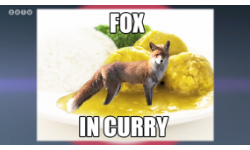 FoxInCurry