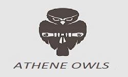 Athene`s Owls