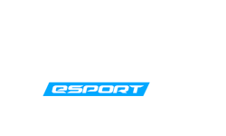 Bangi eSport