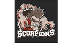 TeamScorpionsStav