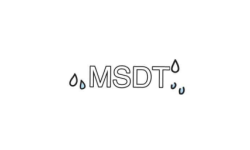 MSDT