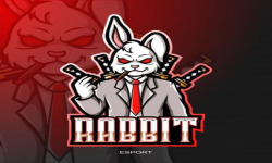 Team Rabbit