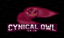 Chynical Owl Id