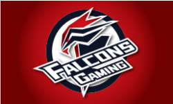Falcons Gaming
