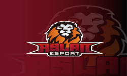 ASLAN ESPORTS