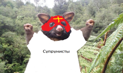 Красные Колпаки