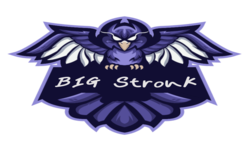 Team Big StronK