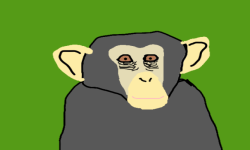 monkeys power