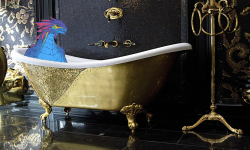 Lizard in a bath
