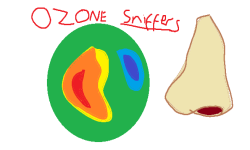 Ozone Sniffers