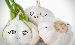 Garlic-chan Fanclub