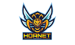 Hornet eSports