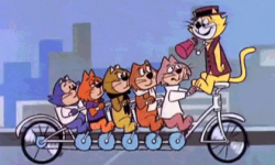 Don gato y su pandilla