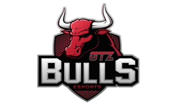 Nplay GTZ Bulls