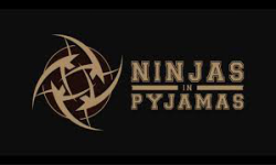 Ninjas in Pyjamas