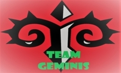 TEAM GEMINIS