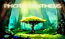 Photosyntez