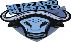 BLIZZARD BUFFALOS