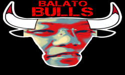 BALATO BULLS