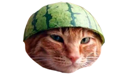 Gato Sandia