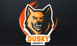 Dusky e-Sports