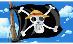 __Straw Hat Pirates__