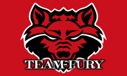 TEAM FURY