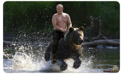 Good Luck Vladimir Putin