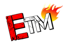 E. Team