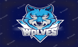 Team Wolves