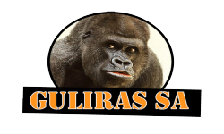 GULIRAS SA