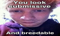 Submissive and Breedable