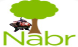 NabrSchoo1