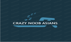 Crazy Noob Asians