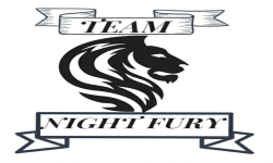 Night Fury