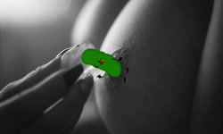 Erect Pickles