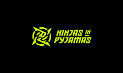 NINJAS IN PIJAMA