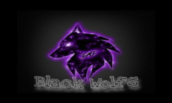 black wolfs