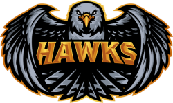 team hawks