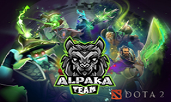 Team Alpaka