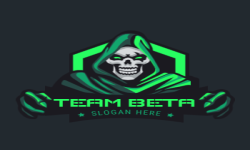 TEAM BETA